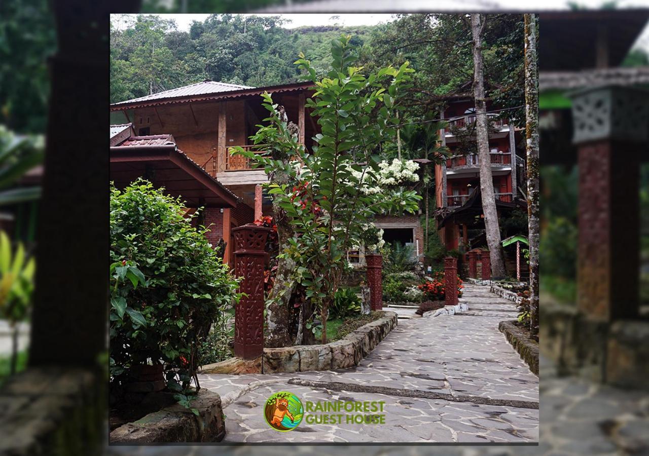 Rain Forest Guest House And Jungle Trekking Букіт-Лаванґ Екстер'єр фото