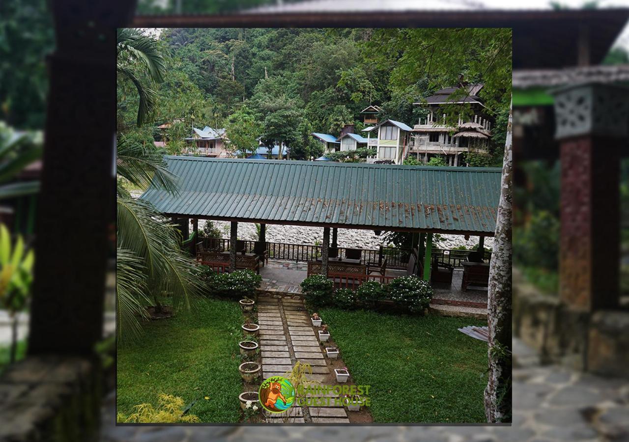 Rain Forest Guest House And Jungle Trekking Букіт-Лаванґ Екстер'єр фото