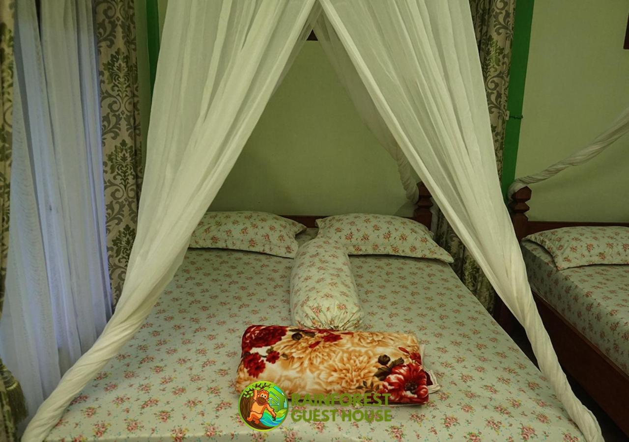 Rain Forest Guest House And Jungle Trekking Букіт-Лаванґ Номер фото