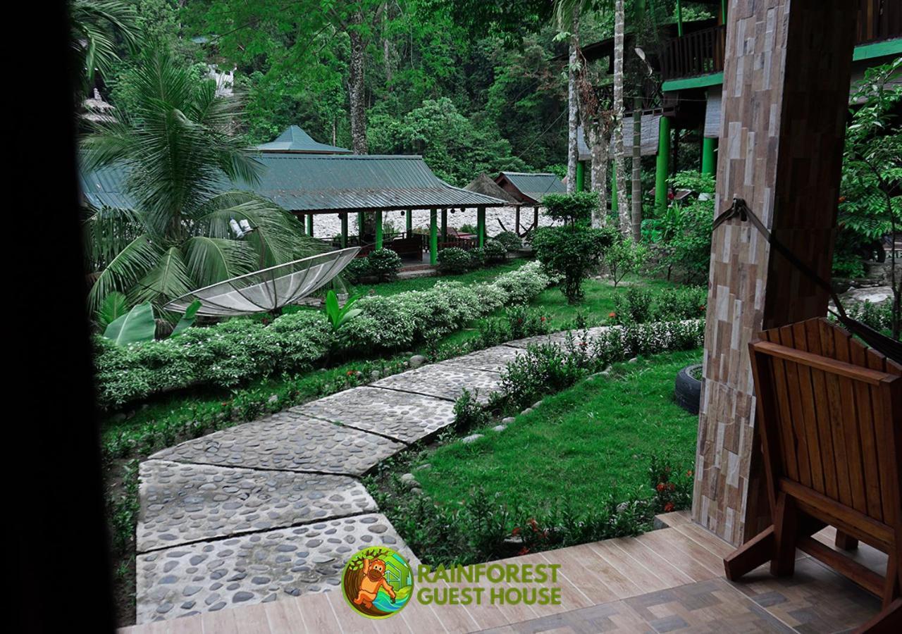Rain Forest Guest House And Jungle Trekking Букіт-Лаванґ Номер фото